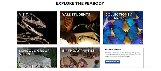 Yale University Peabody Museum