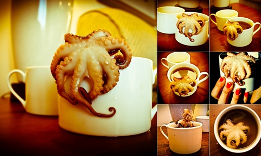 View Octopus in My Cup