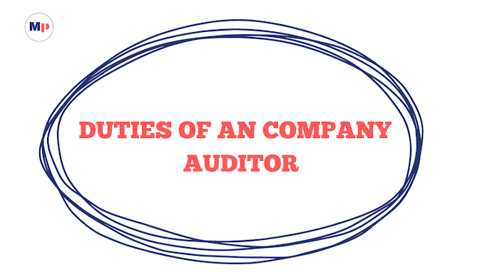 Duties of a Company Auditor