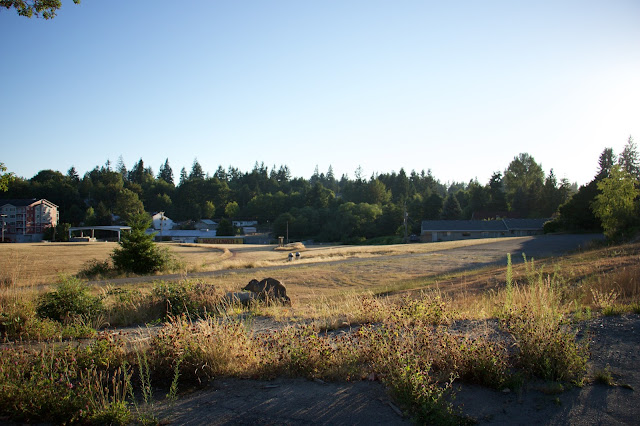 Landscape view of Aldercrest Annex fields