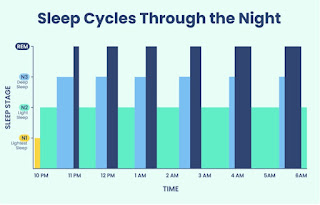 Sleep cycle graph