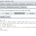 Usando o Proxy pelo programa Burp