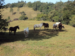 PAISAGEM SOUTOSBACH