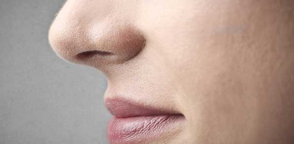 Penemuan AntiBoitk Pada Hidung Manusia