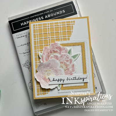 Happiness Abounds Birthday Card (front with stamp set) | Nature's INKspirations by Angie McKenzie