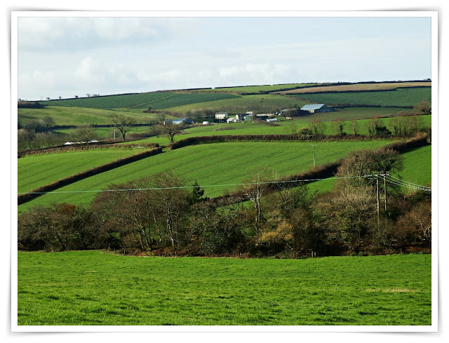 Farmer's green fields in Cornwall