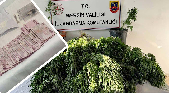 Mersin’de Uyuşturucu Operasyonu: 3 Gözaltı