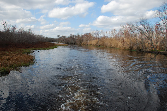 Blue Spring State Park