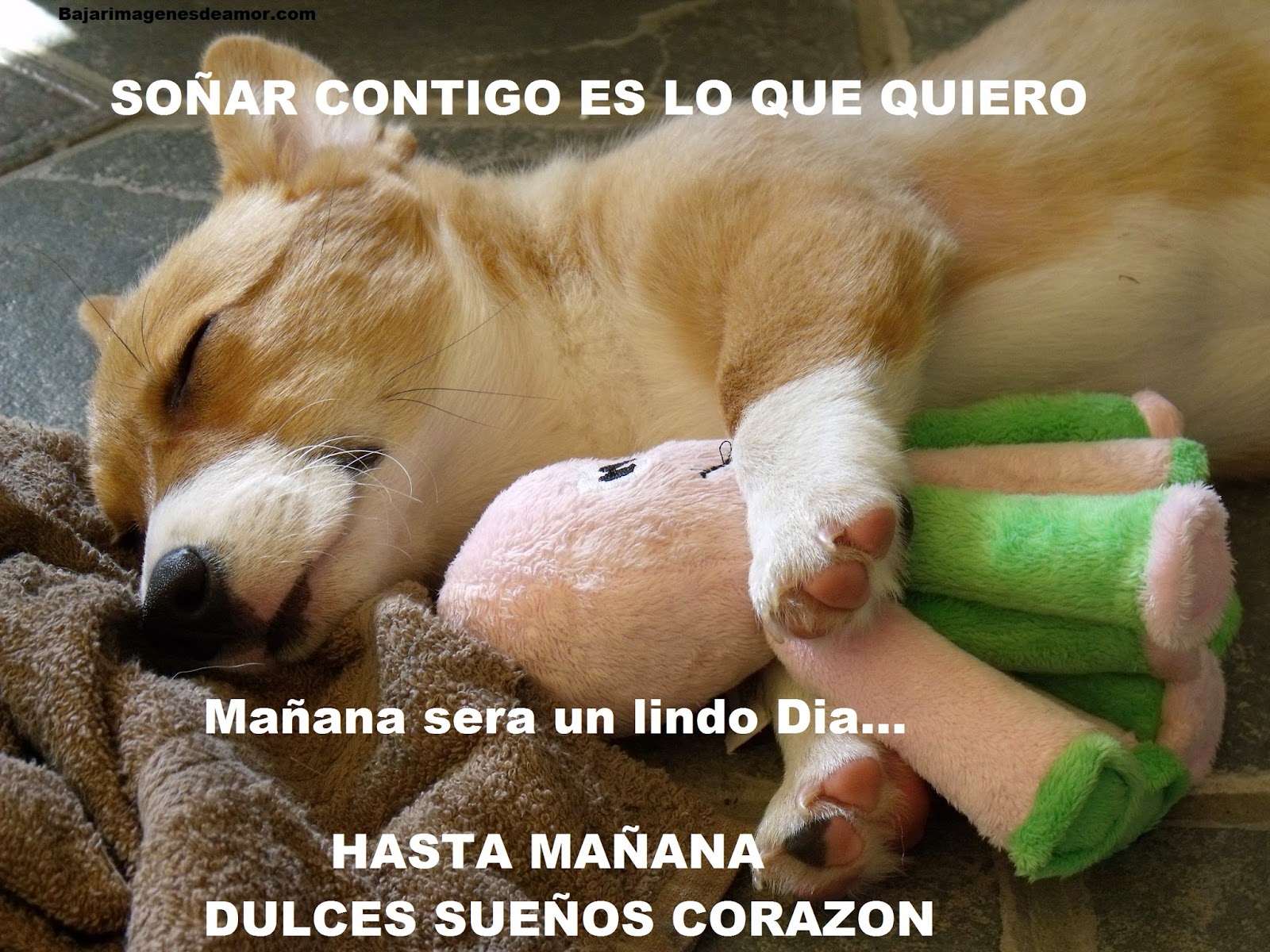 Tiernas Imagenes con Ternura y Frases lindas【 IMAGENES para 