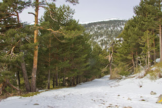 Calzada Romana, Puerto Fuenfria, Montón de Trigo, Cercedilla