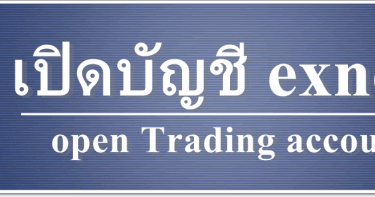 ขอ ea forex