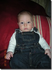 Week 11 024 - Copy