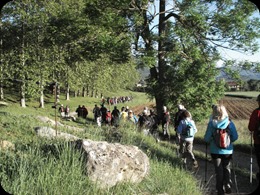 PER ELS VOLTANS D'EN BAS 017
