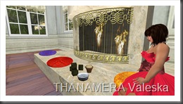 Snapshot_010