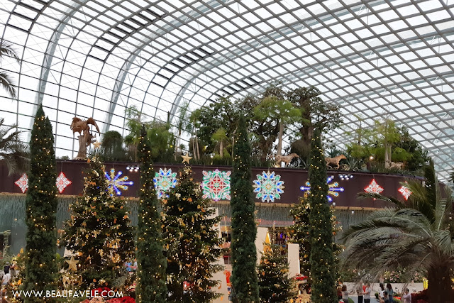 Flower Dome di Gardens by the Bay