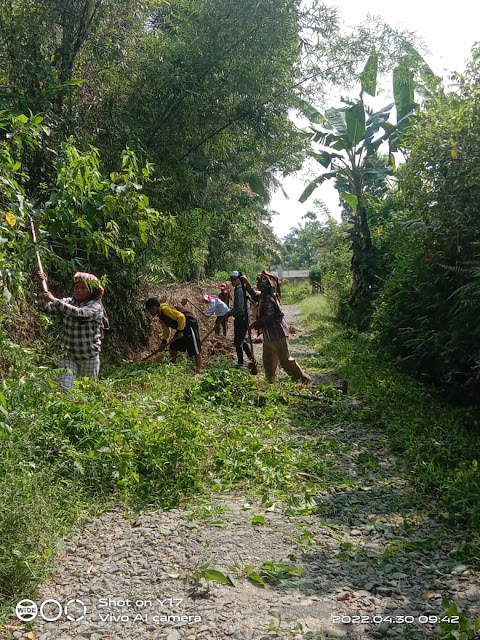 Warga Marihat Tonga Laksanakan Rutinitas Gotong Royong