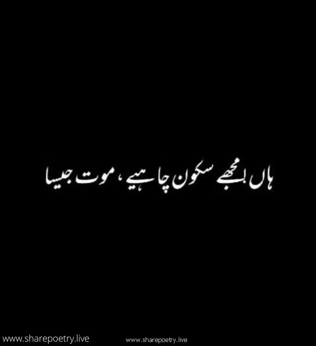 Urdu Captions اردو شاعری