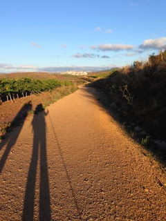 The road from Puenta la Reina to Estella