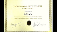 What Is A Professional Certificate