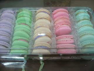 Apam Dot-dot, Cream Puff, CMC