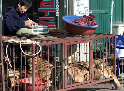 Dog market in South Korea