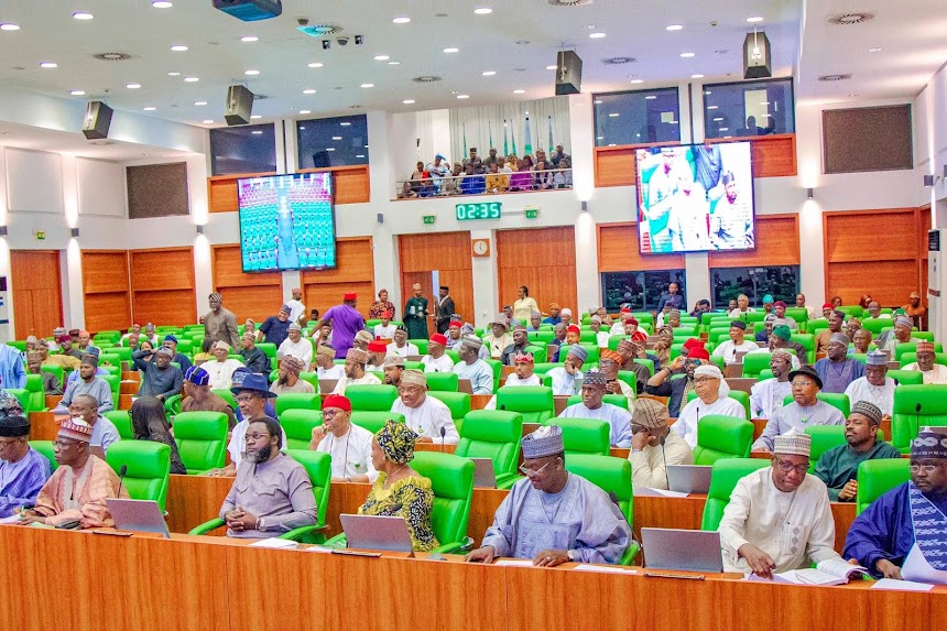 Reps Order RMAFC to Freeze Allocations to LGAs Run by Unelected Officials