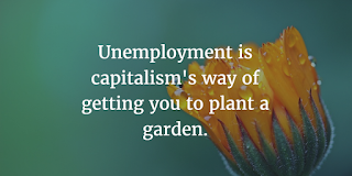 An orange flower on a green background behind the words, "Unemployment is capitalism's way of getting you to plant a garden".