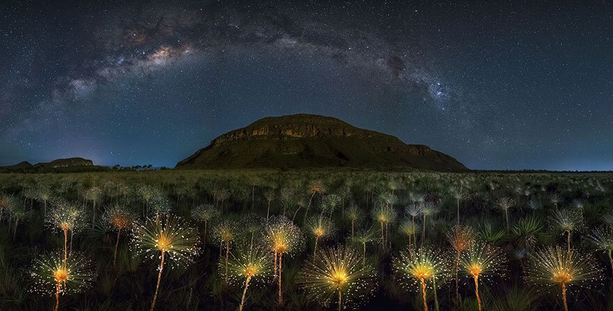 Stunning Pictures That Won The 2018 Siena International Photo Awards