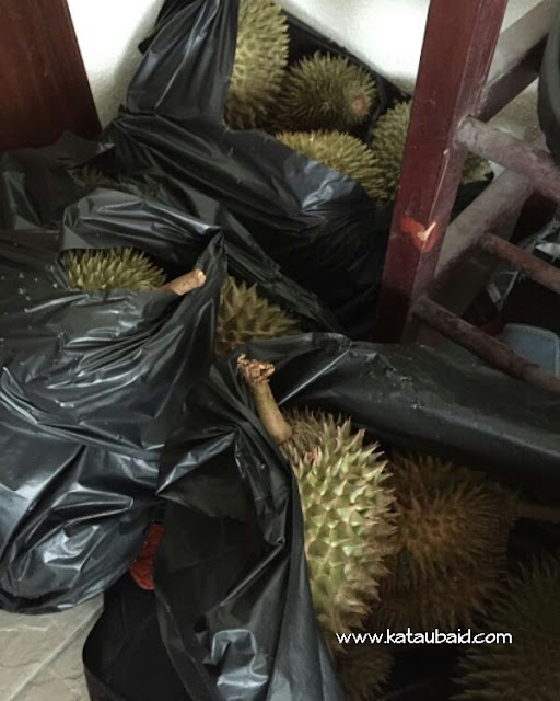 PESTA DURIAN 2018 DI PULAU PINANG 