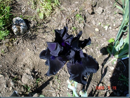 DSC00136