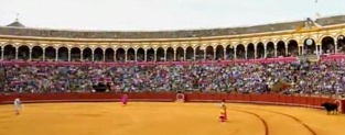 Arrojado011
