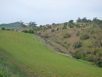 P1060900