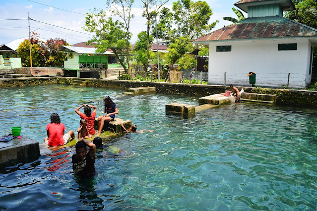 Morea, Belut Raksasa Dari Ambon