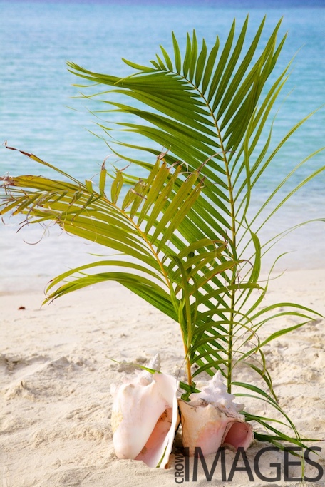 A lovely and simple way to decorate your beach wedding in the Virgin Islands