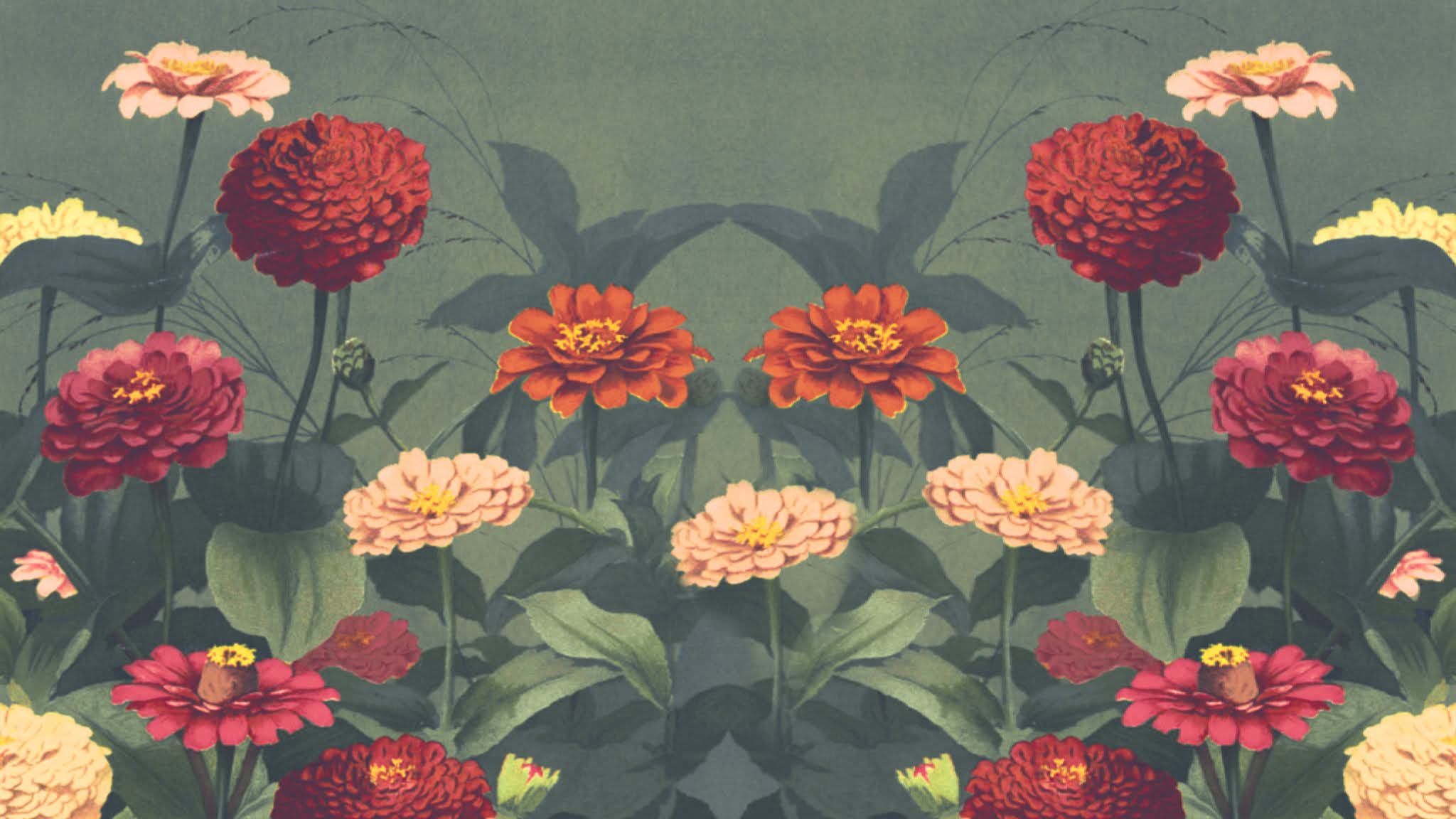 Flower garden free illustration