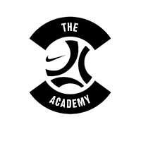DLS logo the academy peq