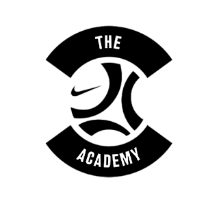 DLS logo the academy