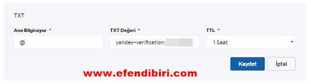 yandex kurumsal maile txt kaydı
