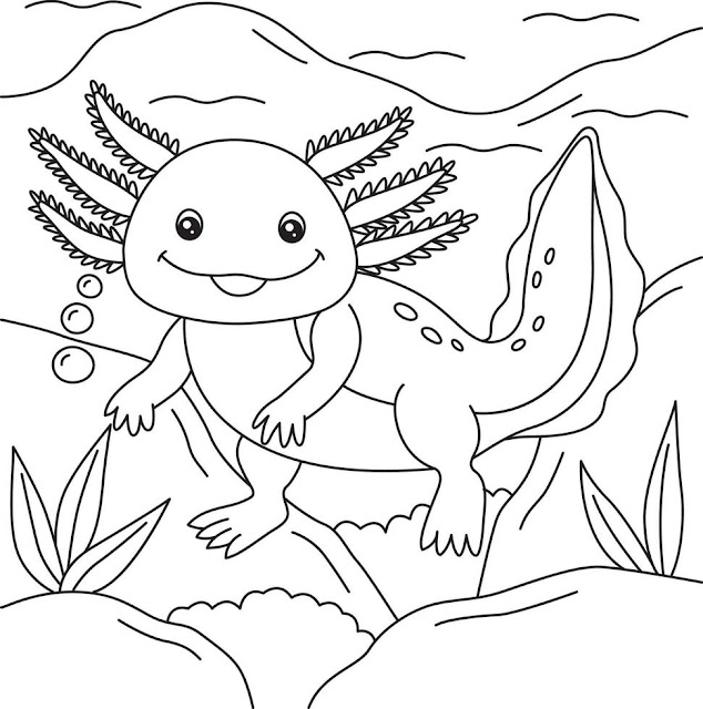 Baby Cute Axolotl Coloring Page Free Printable for Kids