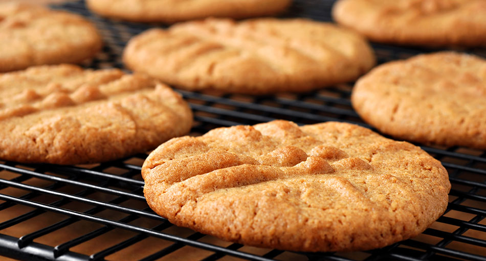 Manufacturing of protein biscuits