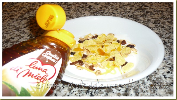 Yogurt con cereali, uvetta e miele di castagno (4)