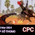 Xem Đá Gà Thomo CPC3 - 22/03/2024 – Trực Tiếp và Tổng Hợp