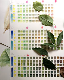 A green and brown colour chart with leaves