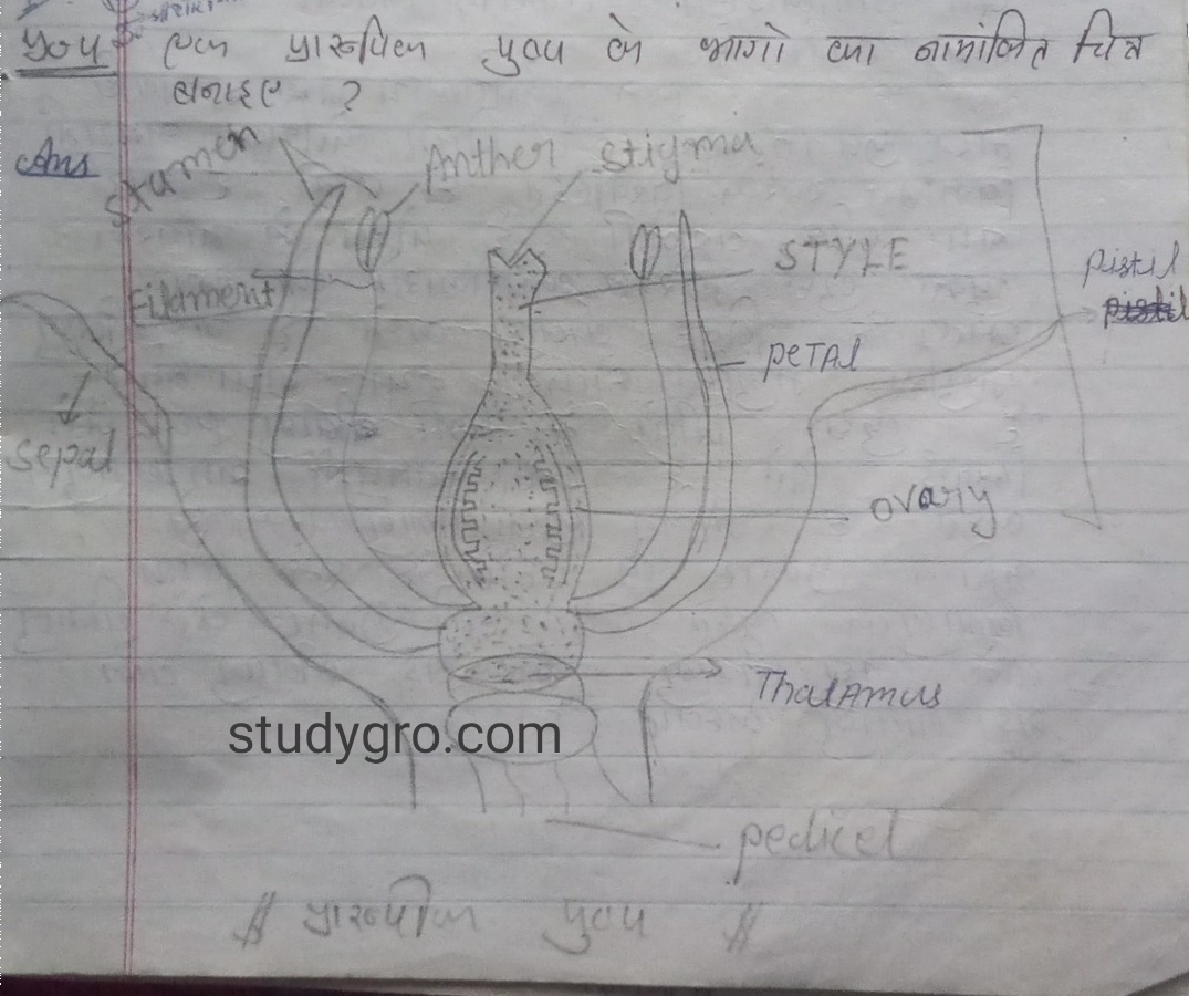 mp board biology prashn bank solution, Class 12th prashn Bank solution, एमपी बोर्ड 12 प्रश्न बैंक हल, 12th biology prashn Bank, Class 12th बायोलॉजी प्रश्न बैंक Solution | MP board