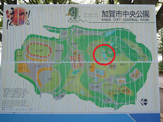 加賀市中央公園 MAP