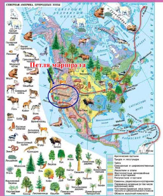 Северная Америка природные зоны