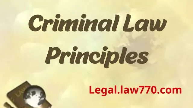 principles of criminal law, criminal law main topics