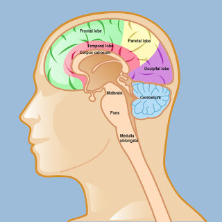 brain tumor journal articles