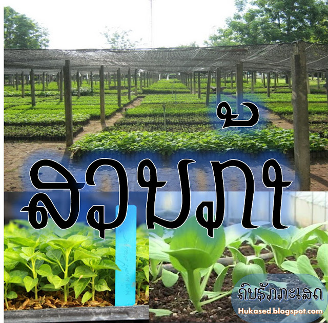 ພື້ນຖານ​ບາງ​ຢ່າງ​ທີ່​ຈຳ​ເປັນ​ໃນ​ການ​ສ້າງ​ສວນ​ກ້າ ແລະ ຄວາມ​ຕ້ອງການທາງດ້ານວັດຖຸ​ອຸ​ປະກອນ.