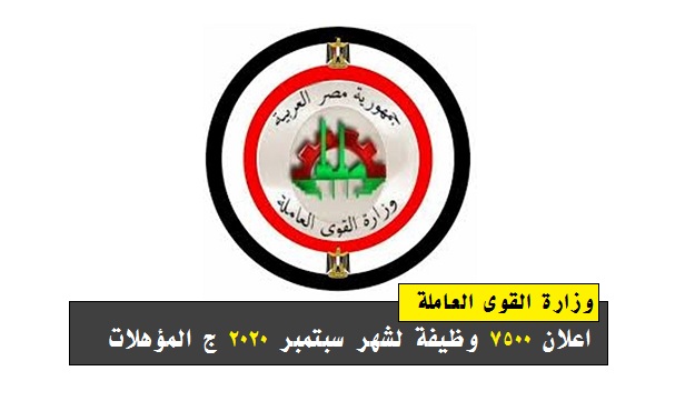 وظائف وزارة القوى العاملة - مرتبات تصل الى 6200 وظائف لجميع المؤهلات العليا والمتوسطة والدبلومات التفاصيل هنا